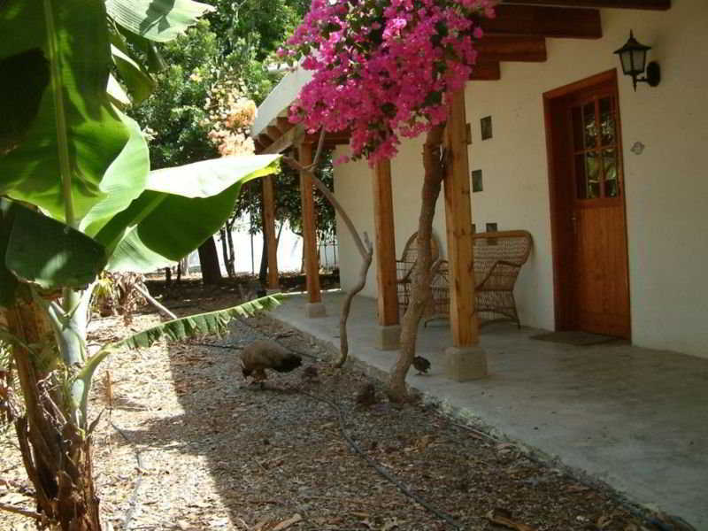 Cho Manuel Residence Maspalomas  Bagian luar foto